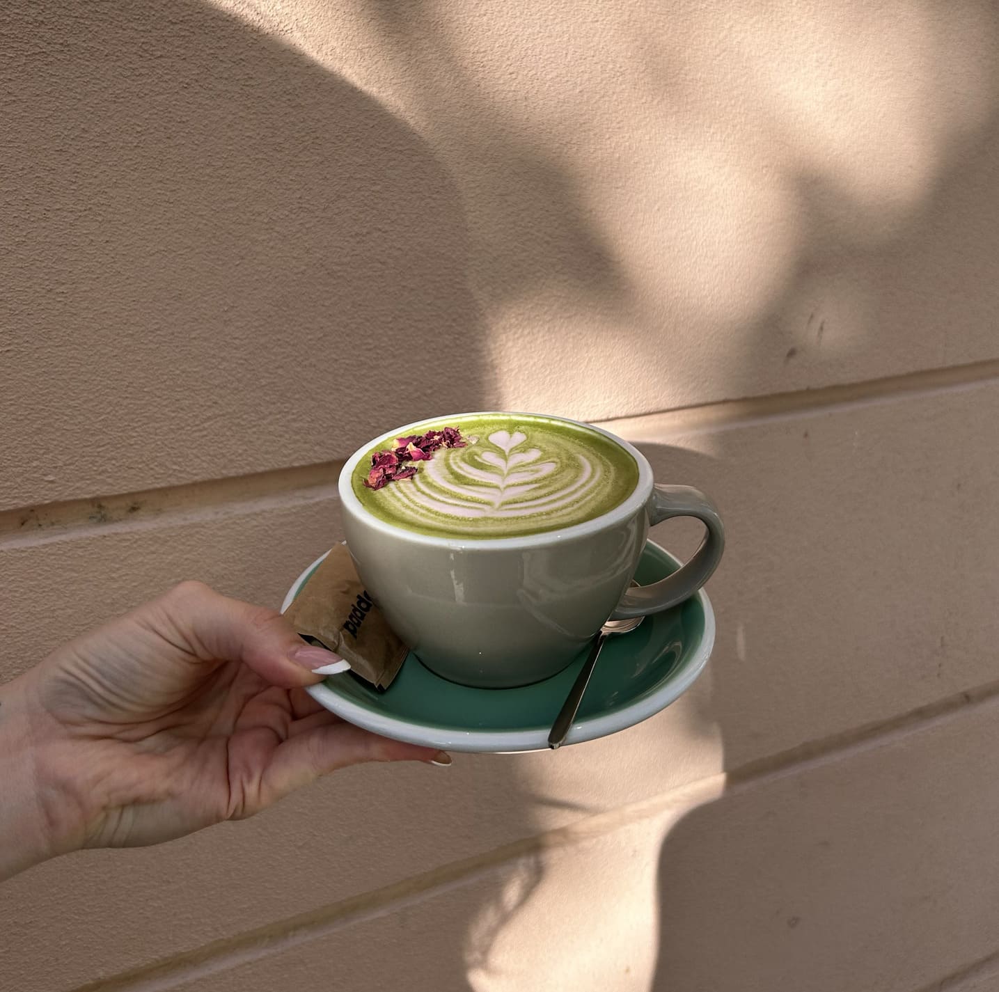 Fairy matcha hot