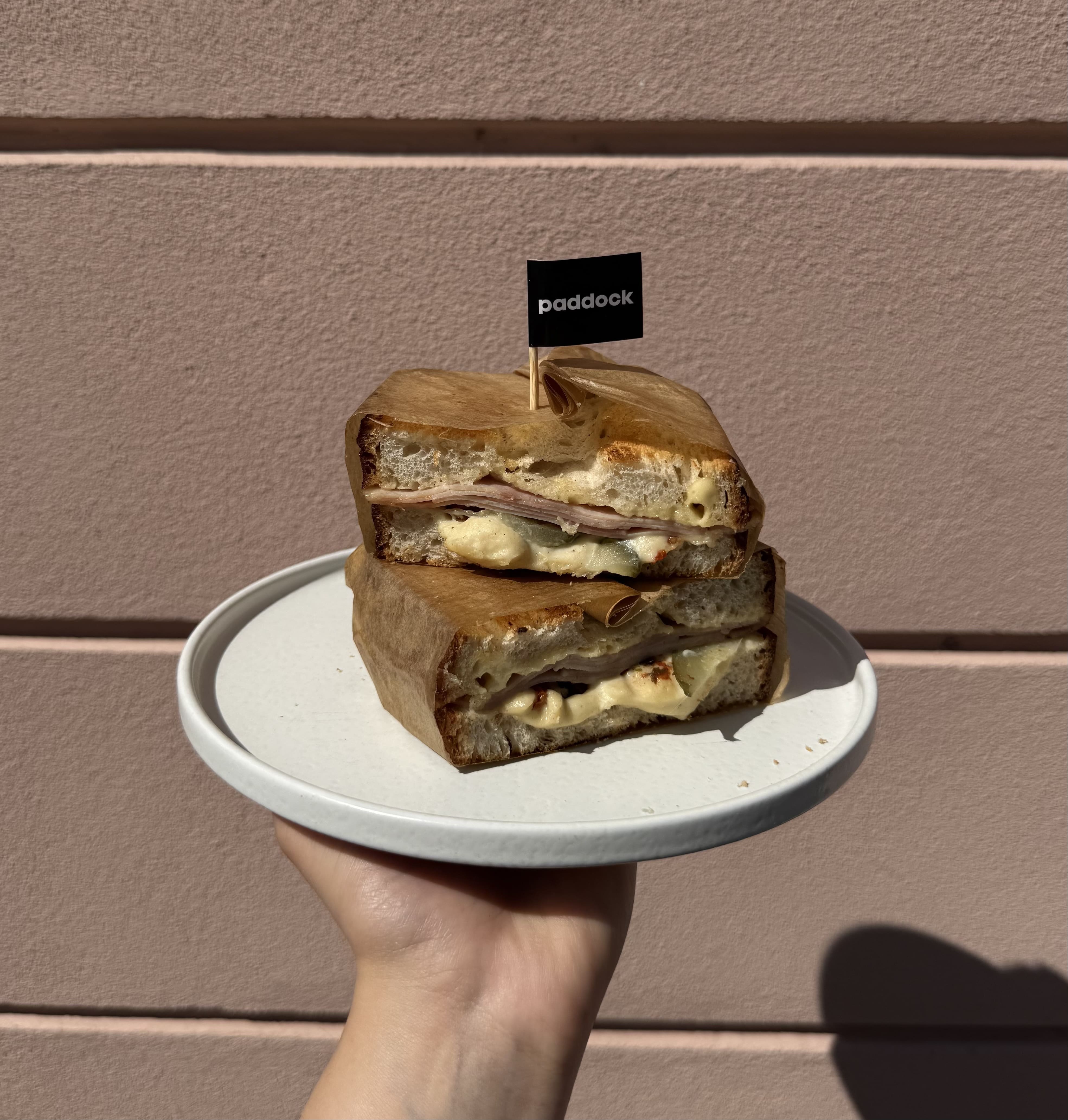 Ham and Cheese Sandwich s cesnakovou Aioli