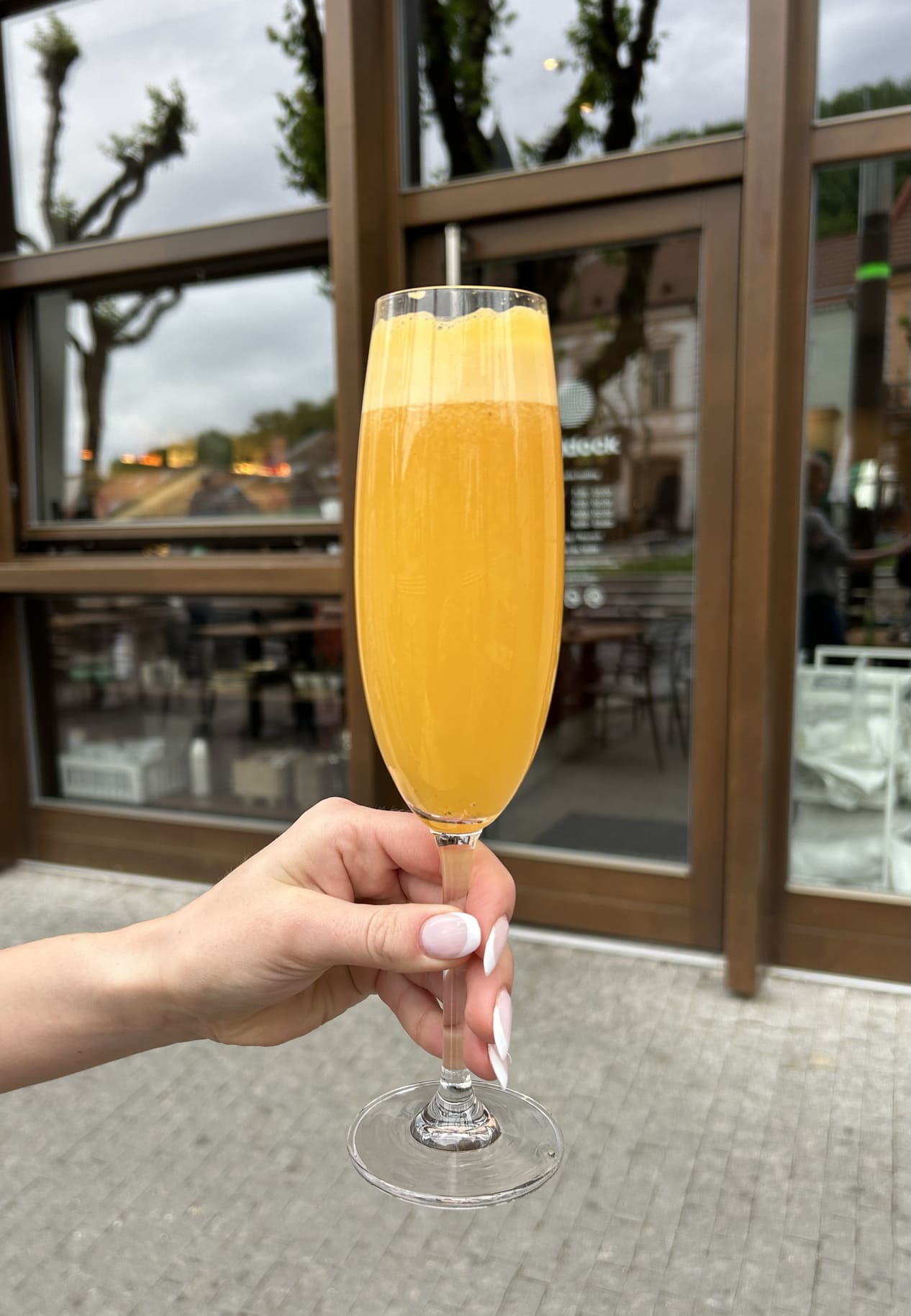 Mimosa